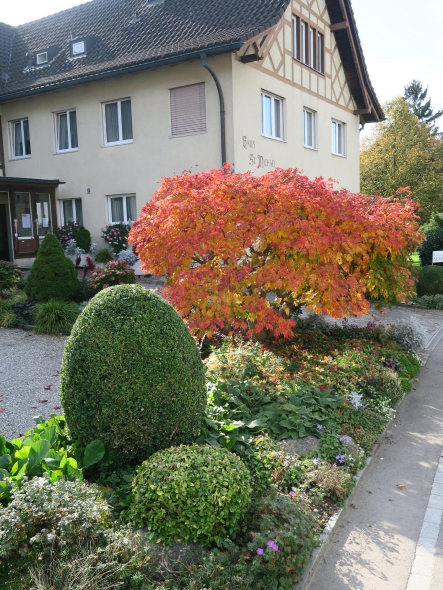 Hotel Haus St.Michael à Dozwil Extérieur photo